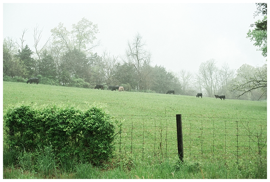 kentucky wedding, kentucky farm wedding, rainy wedding, documentary wedding photographer, film photographer, southern weddings