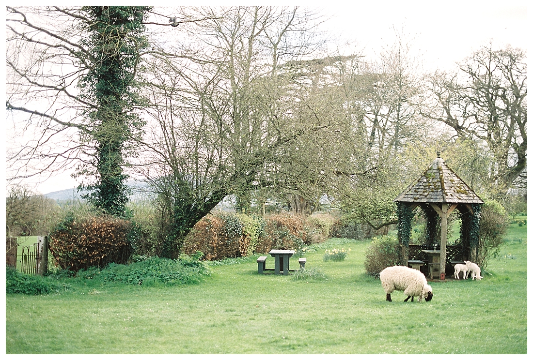 The Borris House, Ireland wedding venue, xsperience weddings, destination wedding venue