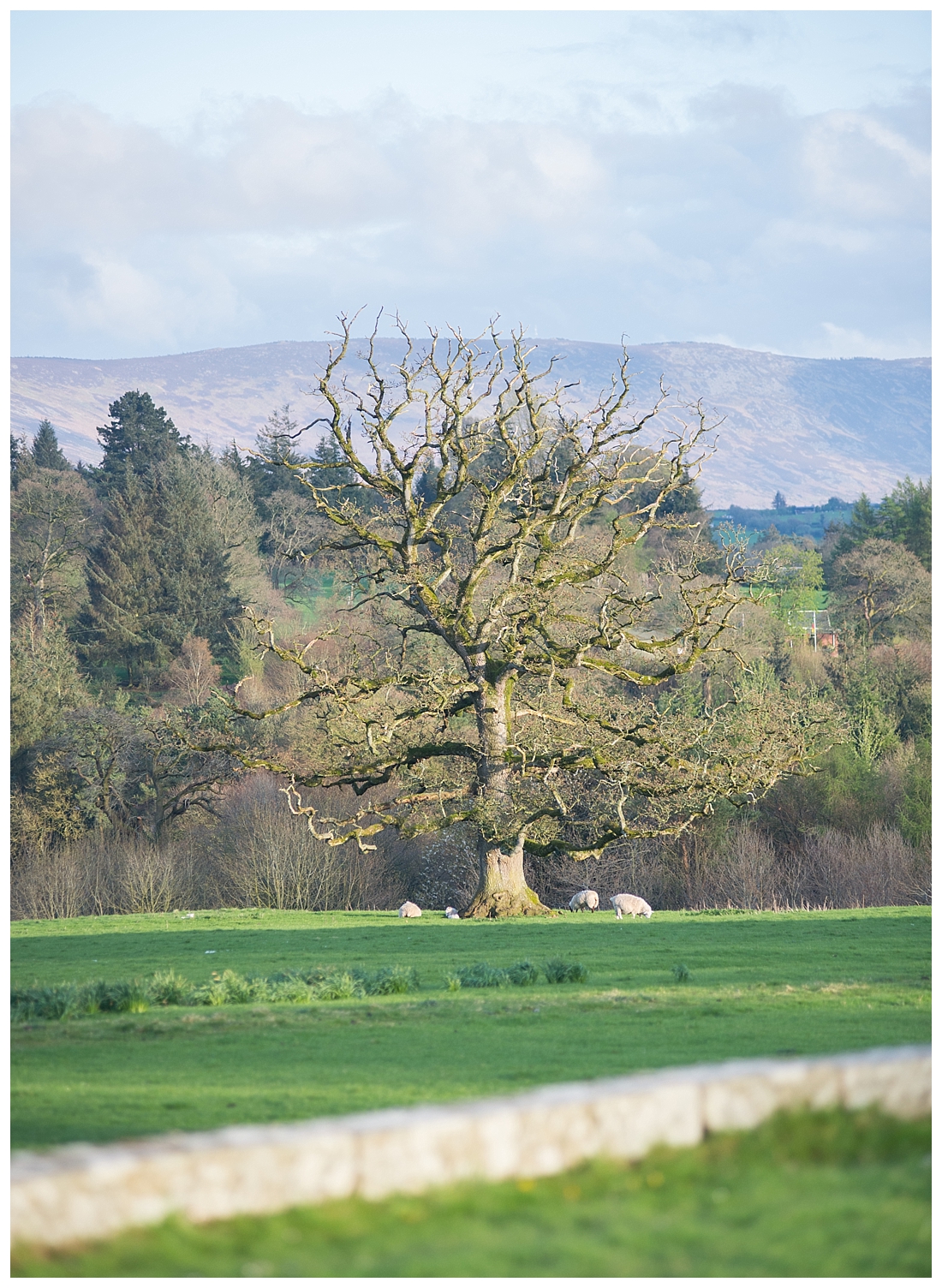 The Borris House, Ireland wedding venue, xsperience weddings, destination wedding venue