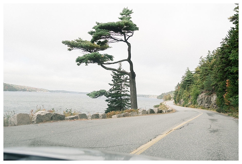 Destination Wedding Adventure In Bar Harbor Maine Xsperience