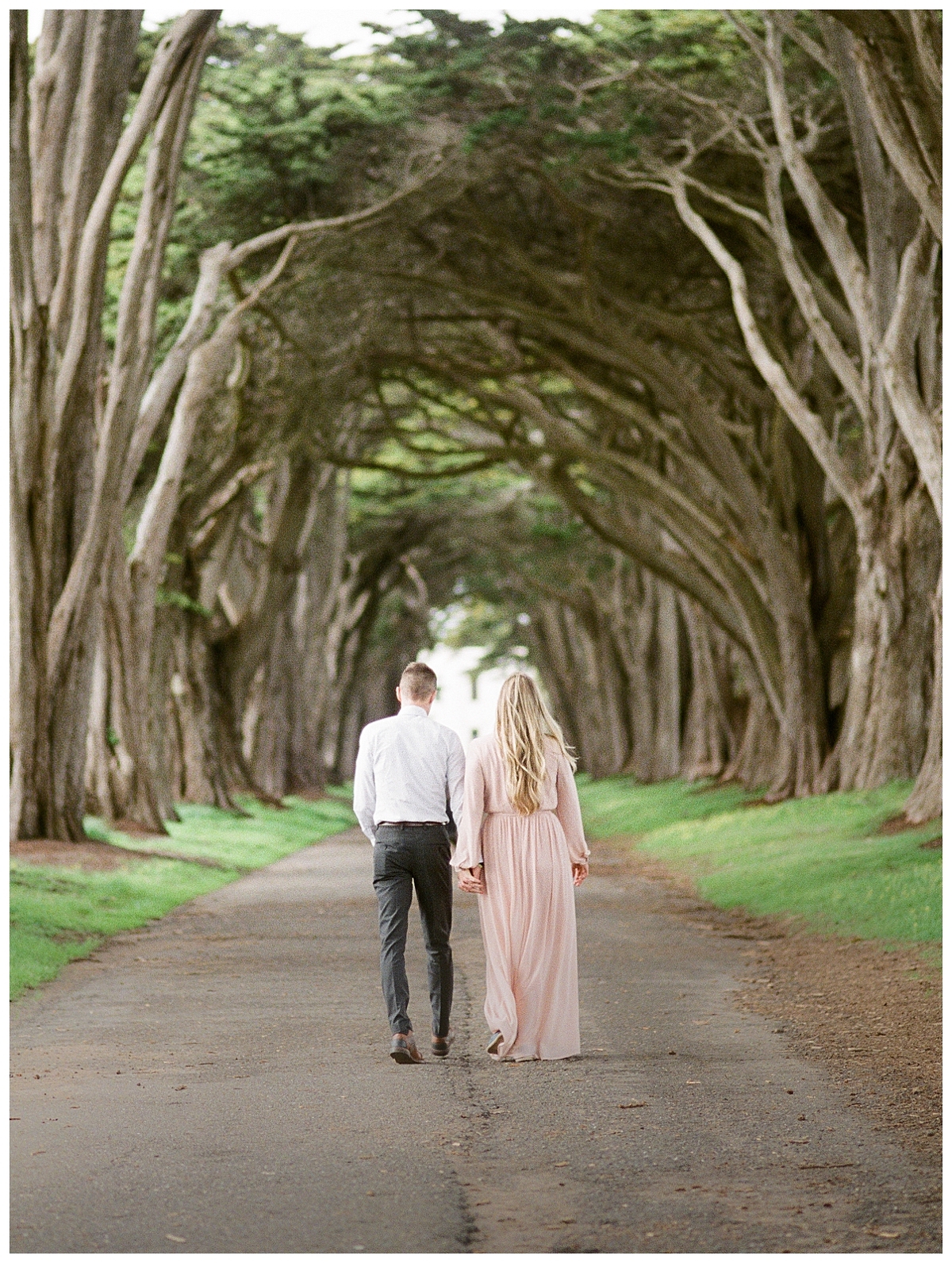 point reyes engagement, destination engagement session, point reyes elopement photographer, point reyes engagement photographer, california elopement photographer, film engagement session, inverness tree tunnel