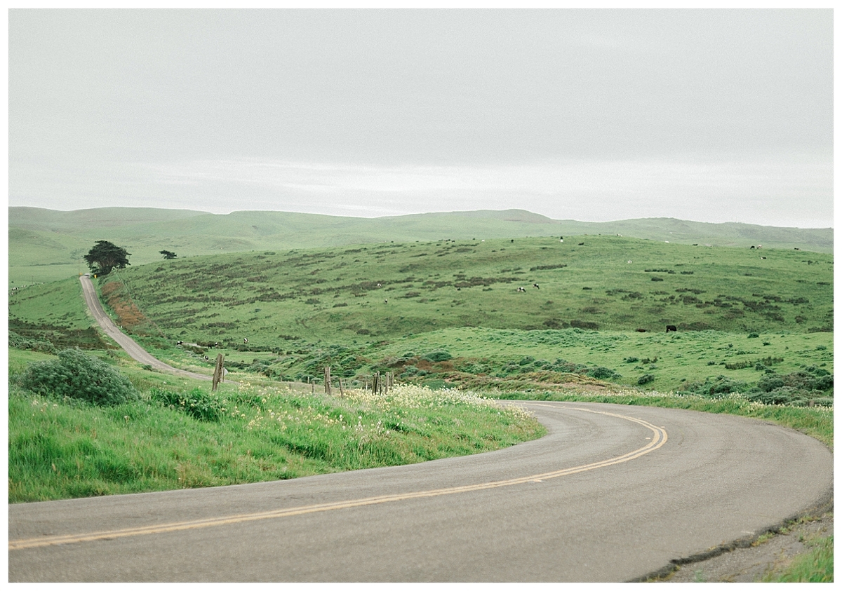 point reyes engagement, destination engagement session, point reyes elopement photographer, point reyes engagement photographer, california elopement photographer, film engagement session