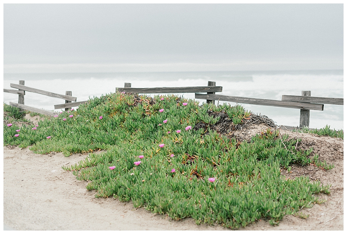 point reyes engagement, destination engagement session, point reyes elopement photographer, point reyes engagement photographer, california elopement photographer, film engagement session