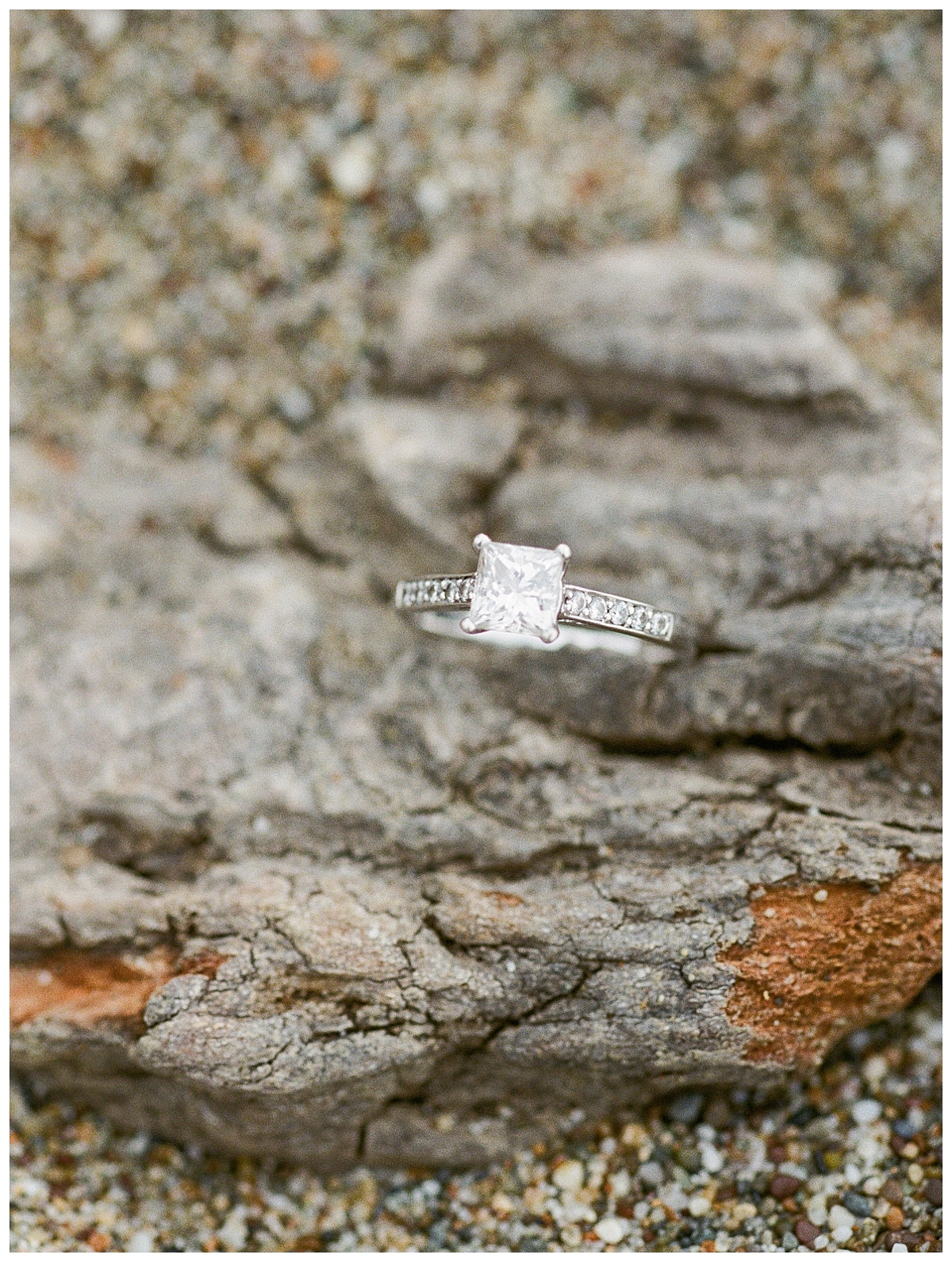 point reyes engagement, destination engagement session, point reyes elopement photographer, point reyes engagement photographer, california elopement photographer, film engagement session