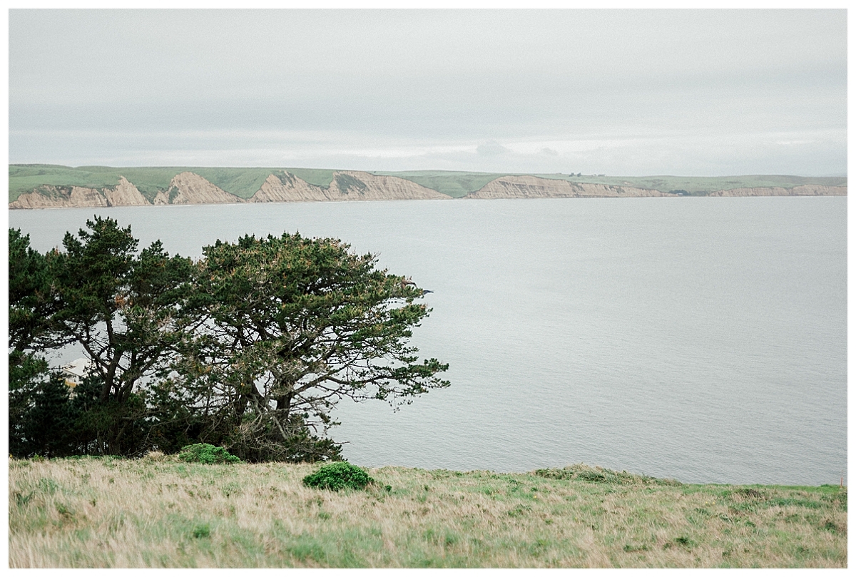 point reyes engagement, destination engagement session, point reyes elopement photographer, point reyes engagement photographer, california elopement photographer, film engagement session