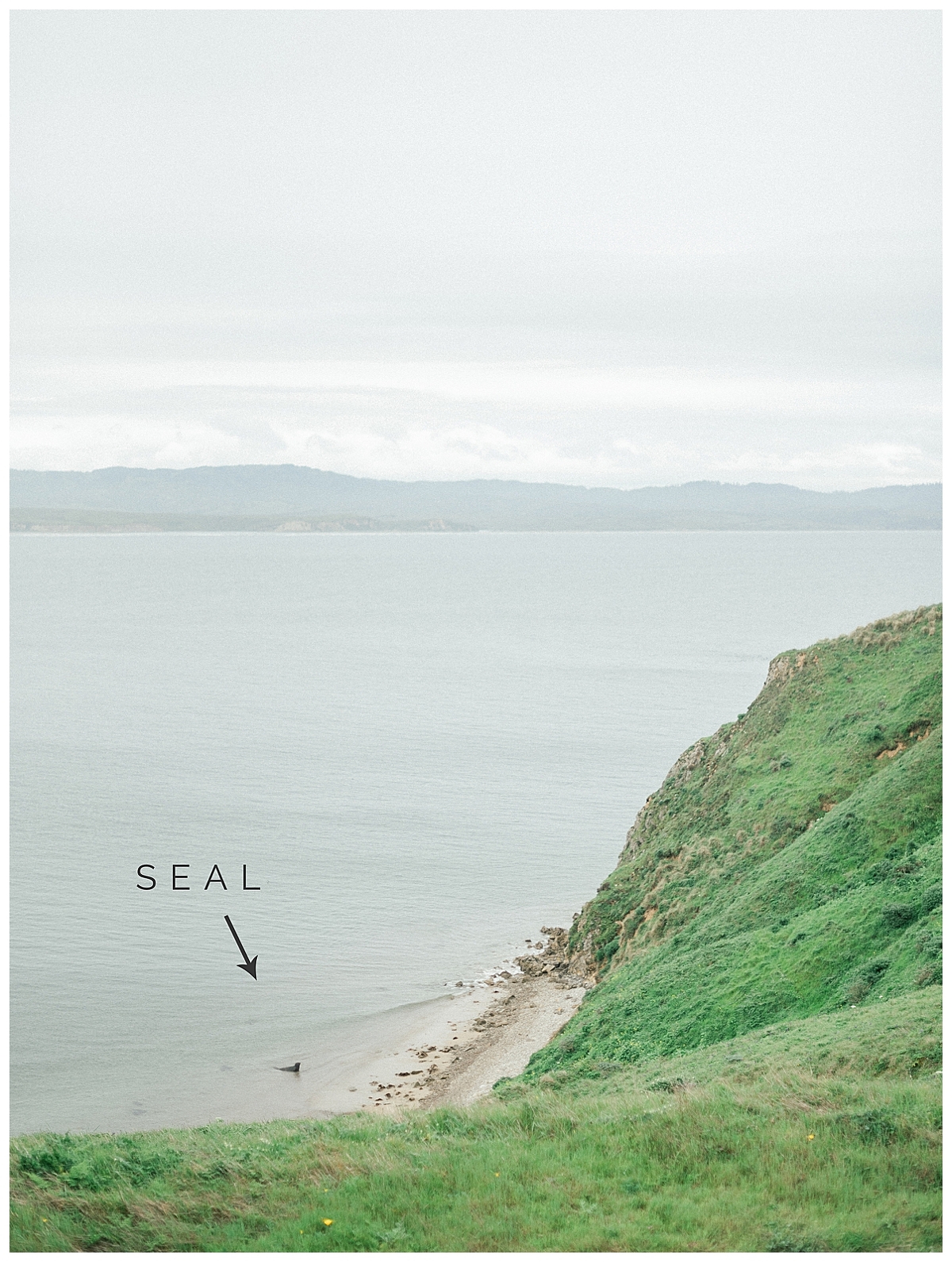 point reyes engagement, destination engagement session, point reyes elopement photographer, point reyes engagement photographer, california elopement photographer, film engagement session