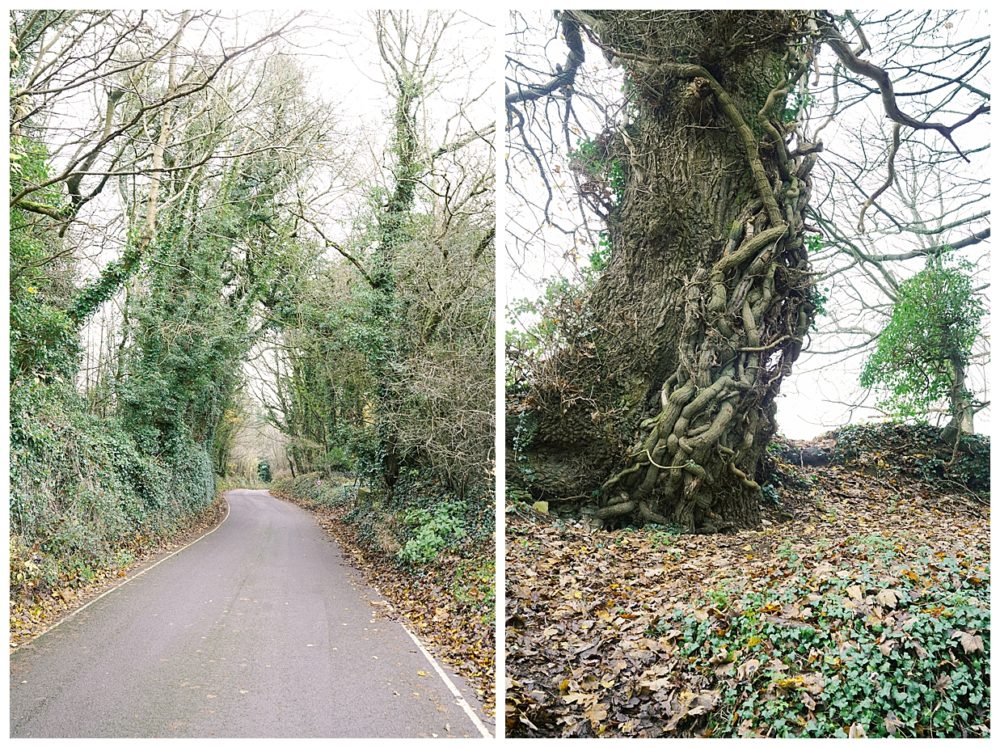 castle combe england, The Manor House, England Destination Wedding Venue