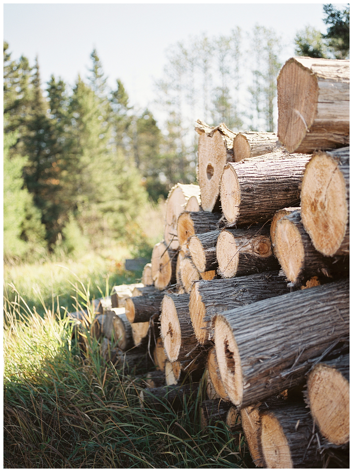 The Perfect Northern Minnesota Destination Wedding • Xsperience Photography